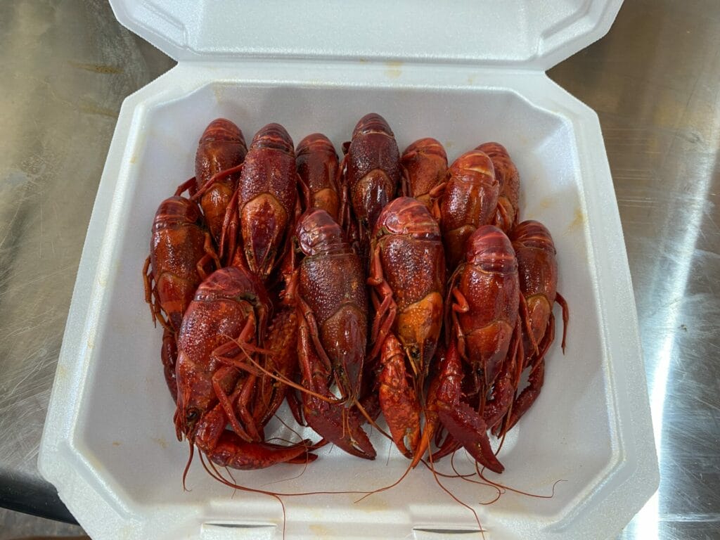 A Flavorful Partnership: STS and Data Projections at the Big Crawfish Bash 12 Crawfish turn-in box